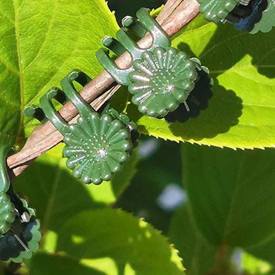 Plant Clips